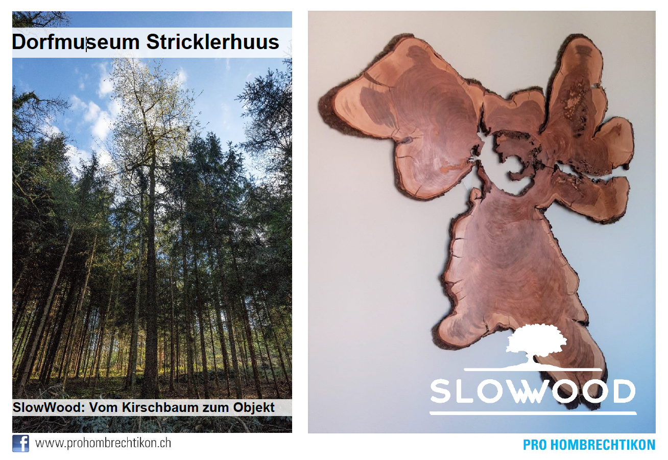 Das  "Projekt SlowWood" wird im Dorfmuseum in  Hombrechtikon gezeigt                                           Vernissage  Sa. 09. April 2022